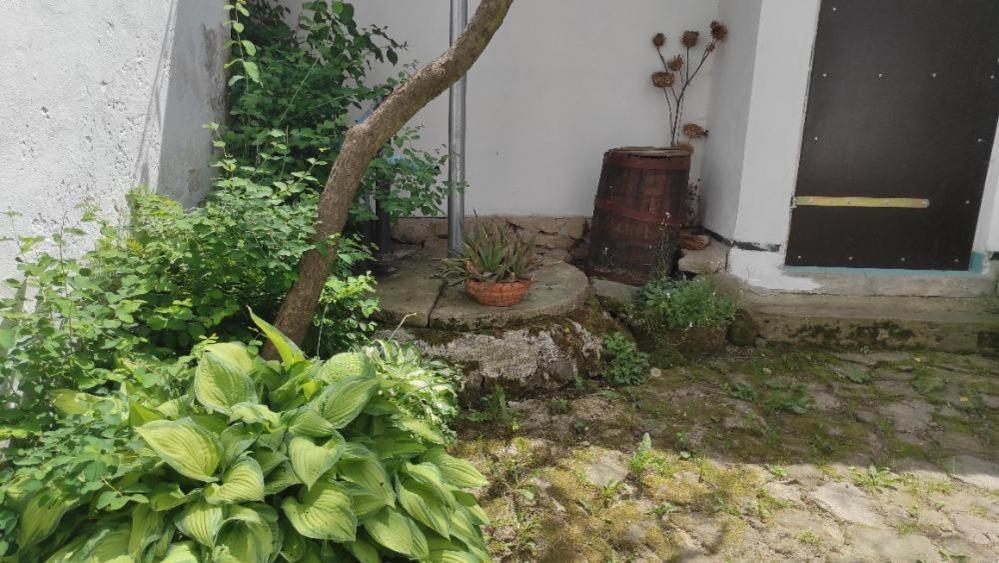 Ubytovani Pod Jilmem Zumberk Exterior foto